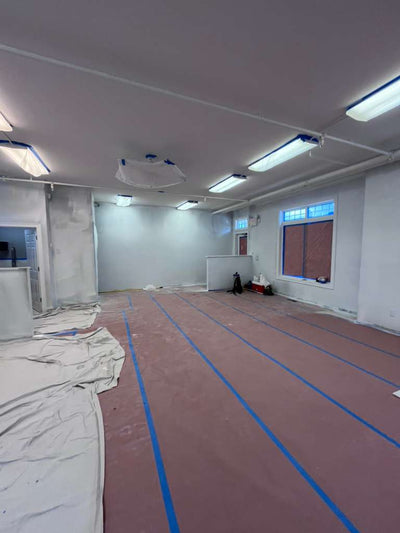 Professional Painting Division